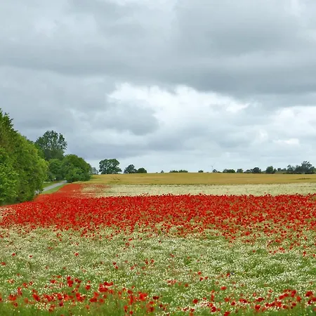 Am Waldessaum Bodstedt